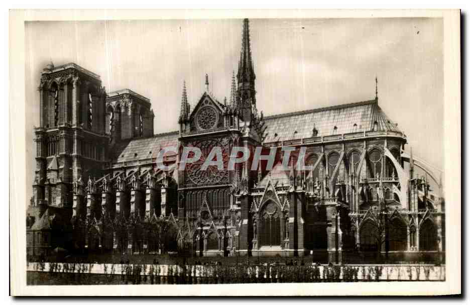 CPA Paris La Cathedrale de Notre dame et le Square de l Archeveche 