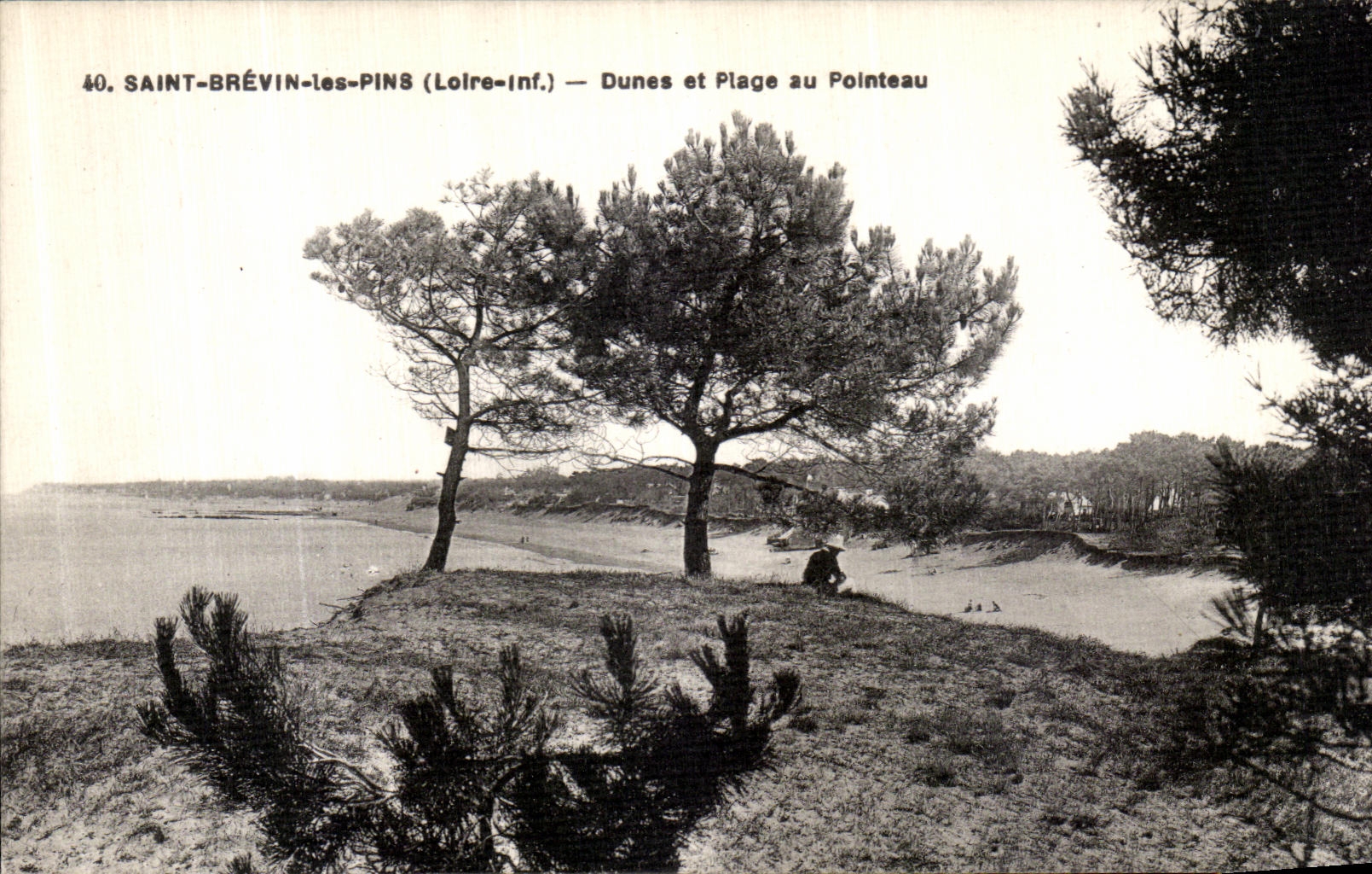 CPA St Brevin Les Pins Dunes et Plage au Pointeau