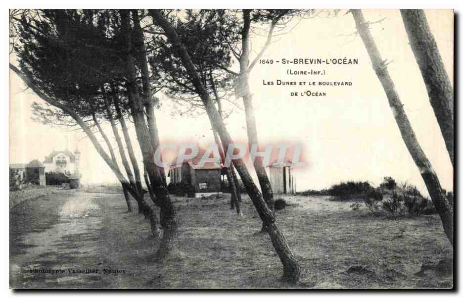 CPA Saint Brevin L Ocean Les Dunes et le Boulevard De L Ocean