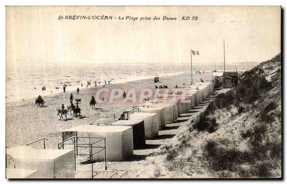 CPA Saint Brevin L Ocean La Plage prise des Dunes