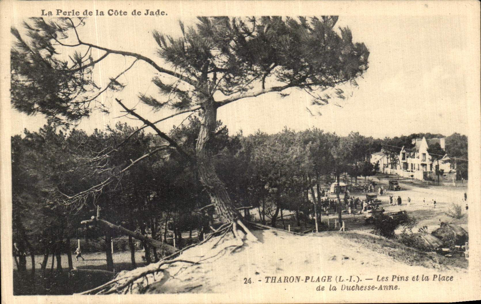 CPA Tharon Plage Les Pins et la Place de la Duchesse Anne