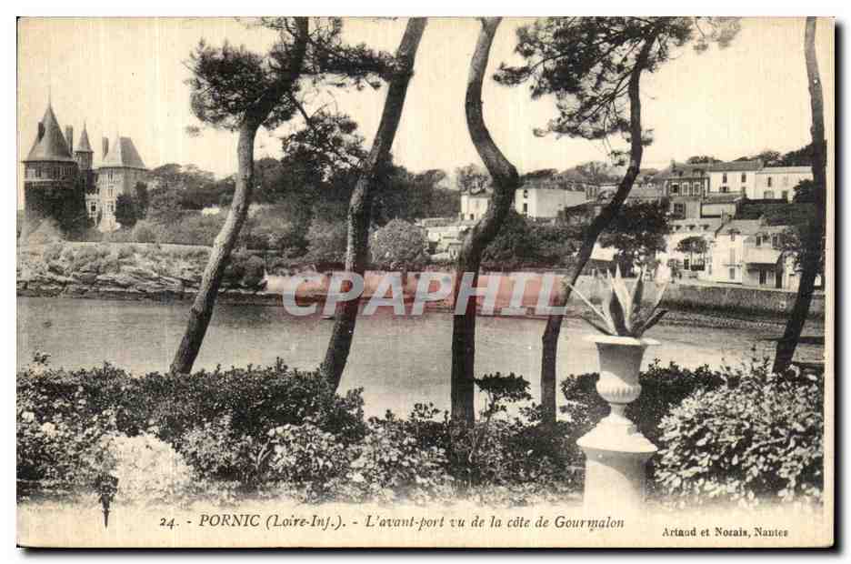 CPA Pornic L avant port vu de la Cote de Gourmalon