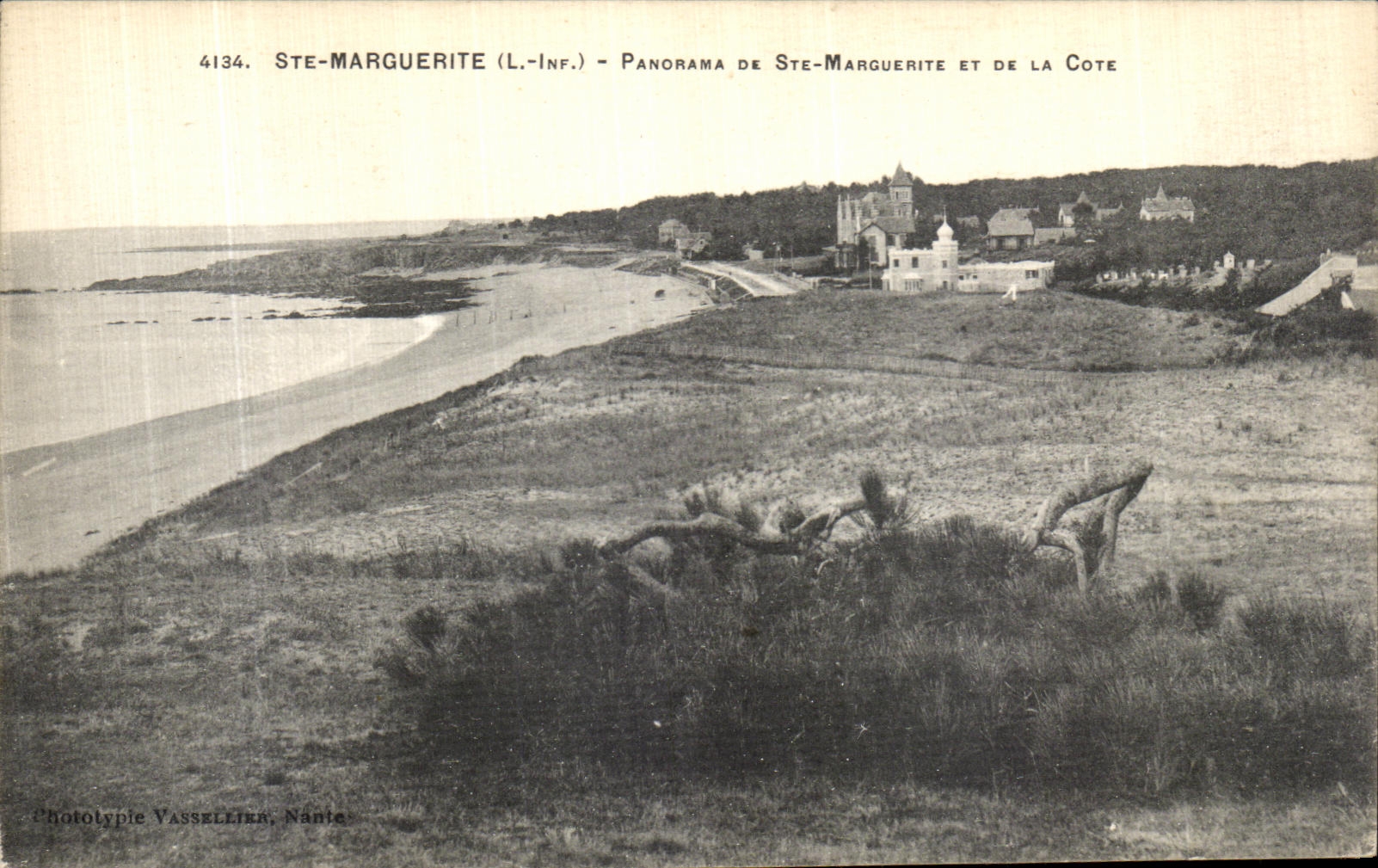 CPA Ste Marguerite Panorama De Ste Marguerite De La Cote