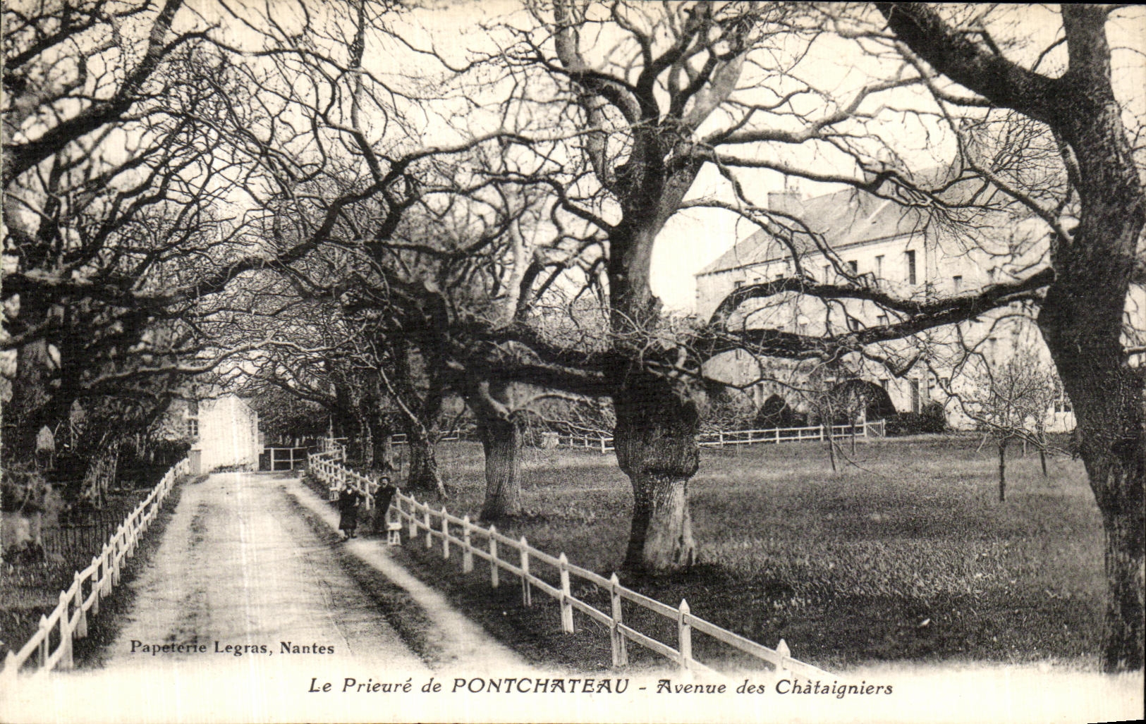 CPA Le Prieure de Pontchateau Avenue des Chataigniers