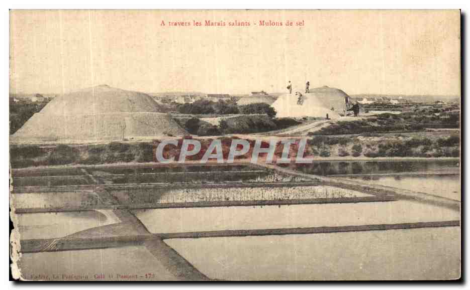 CPA A Travers Les Marais Salants Mulons de Sel 
