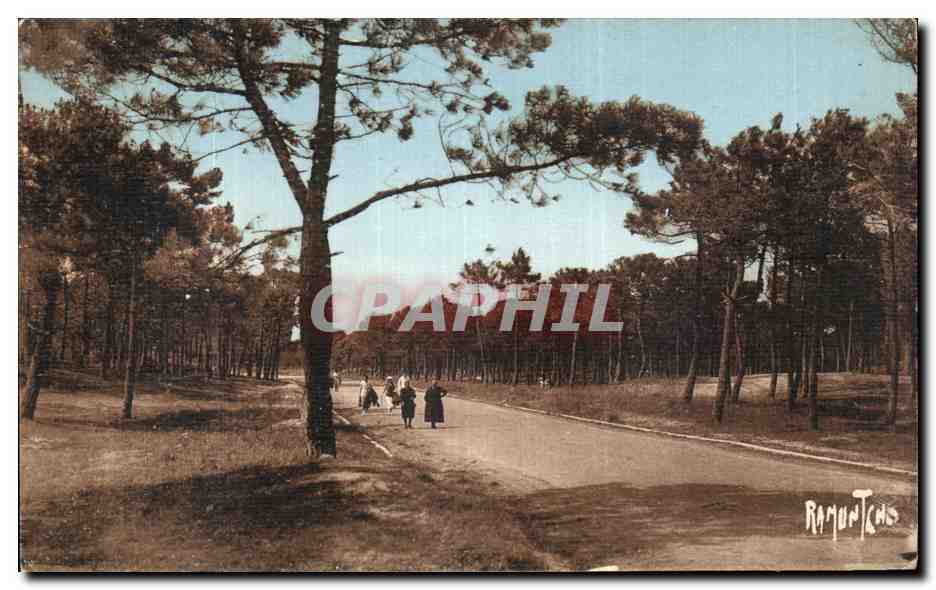 Saint-Jean-de-Monts — Route de la Forêt reliant les deux Plages — Éditions Artistiques Raymond Bergevin