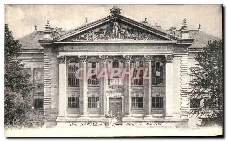 CPA Nantes Le Musee d Histoire Naturelle