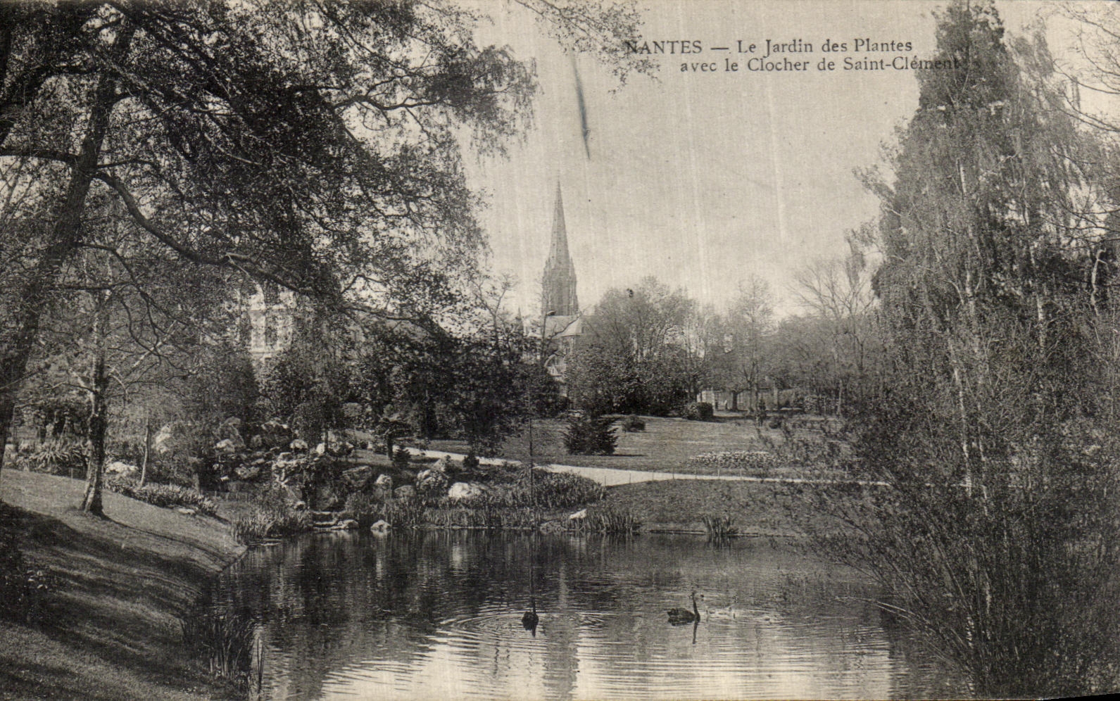 CPA Nantes Le Jardin des Plantes Avec le Clocher de Saint Clement 