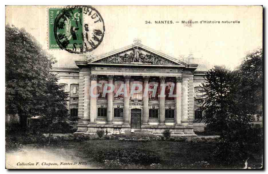 CPA Nantes Museum D Histoire Naturelle