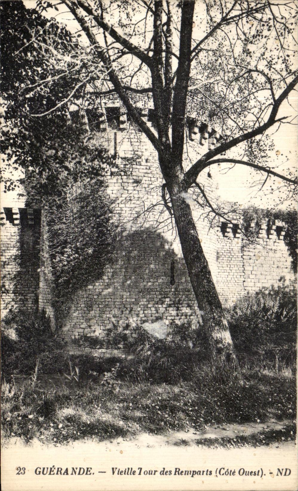 CPA Guerande Vielle Tour des Remparts 