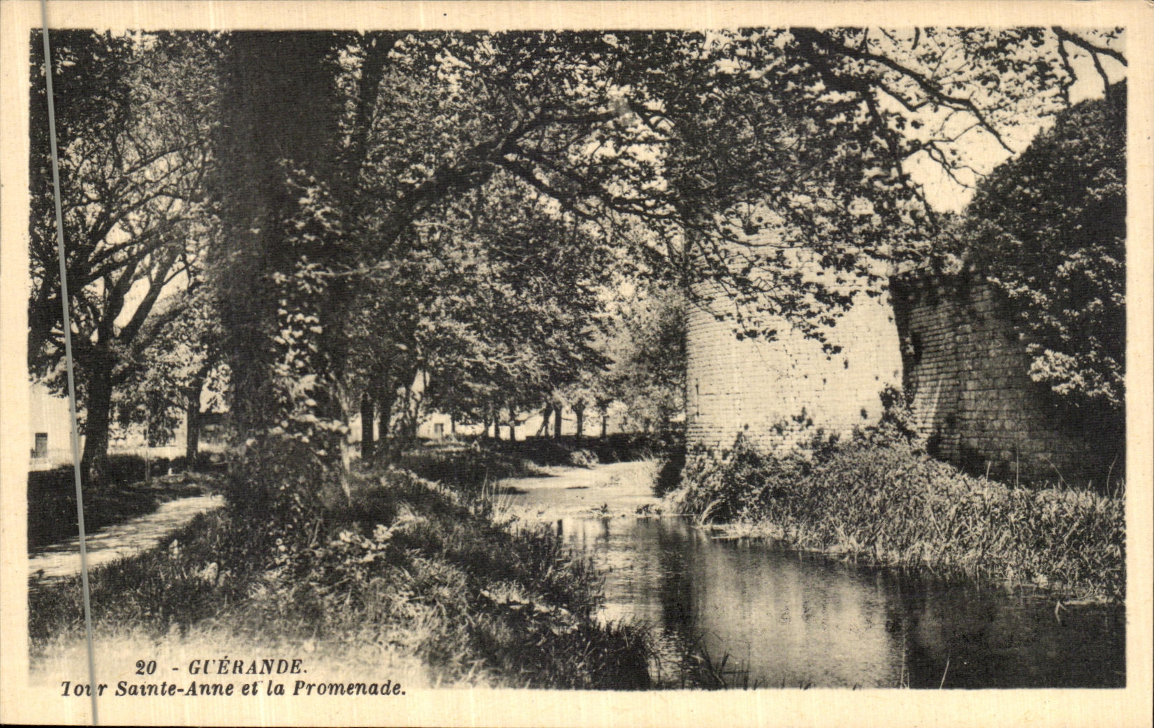 CPA Guerande Tour Sainte Anne et La Promenade