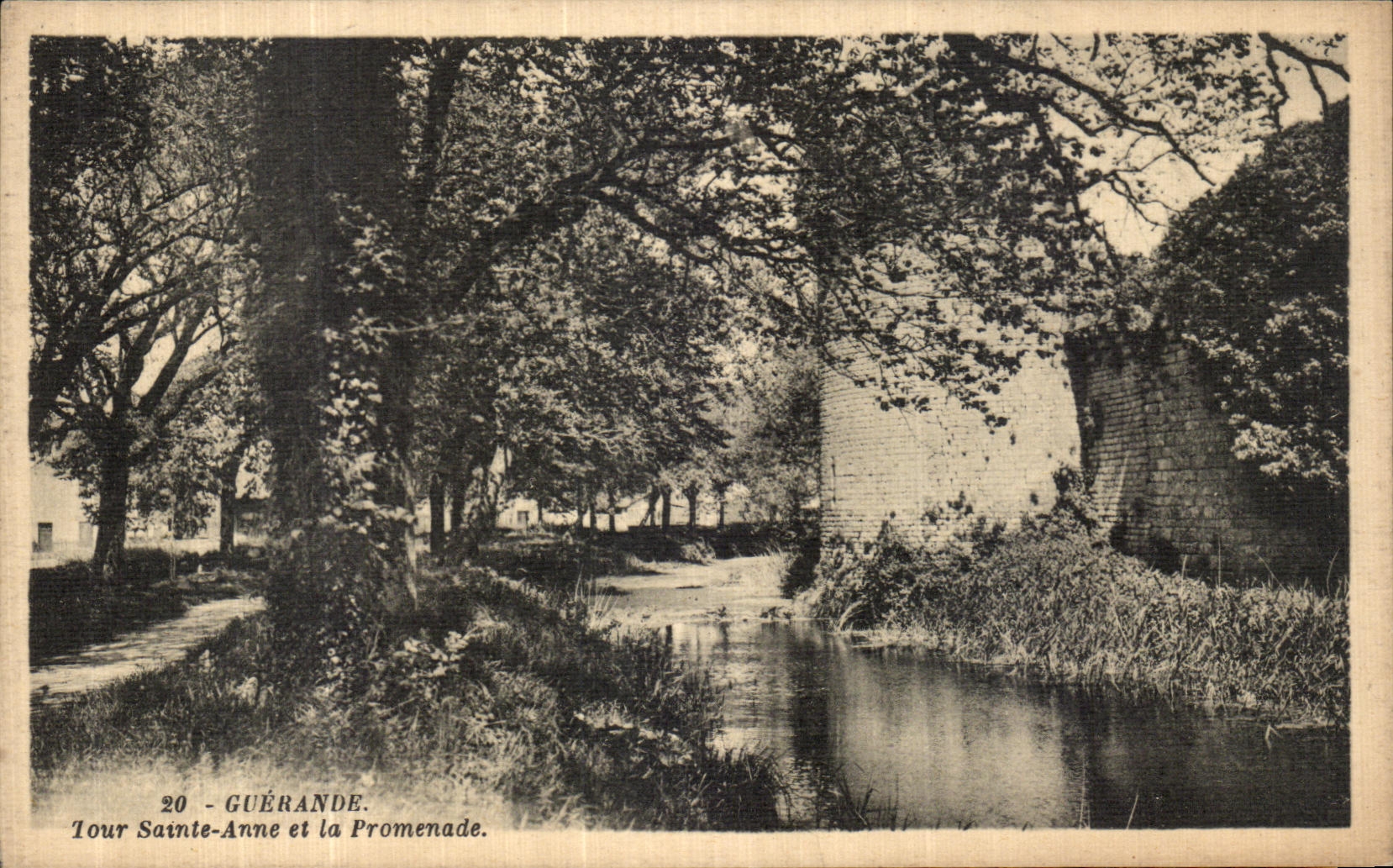 CPA Guerande Tour Sainte Anne Et La Promenade 