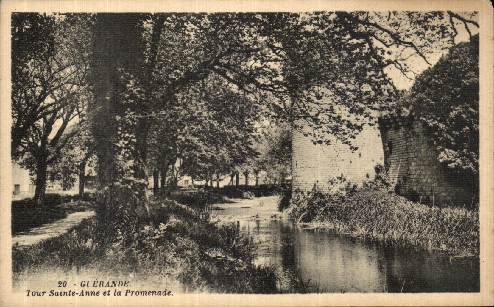 CPA Guerande Tour Sainte Anne Et la Promenade
