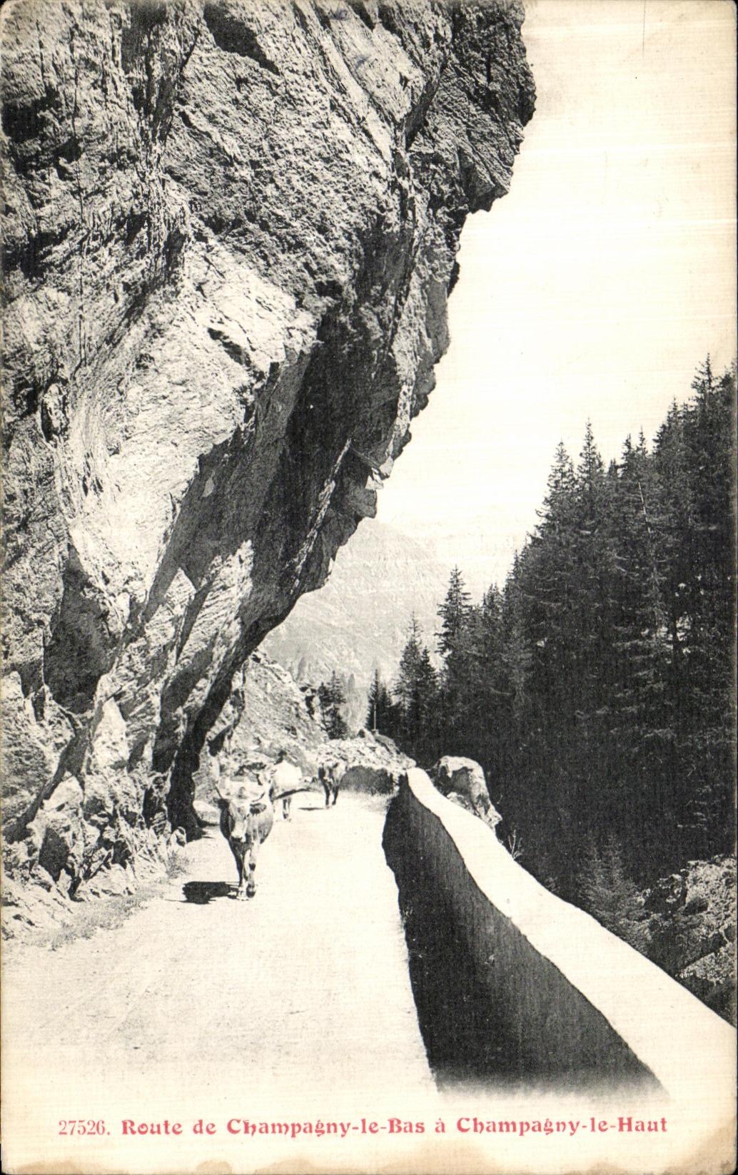 CPA Route de Champagny le Bas a Champagny Le Haut 