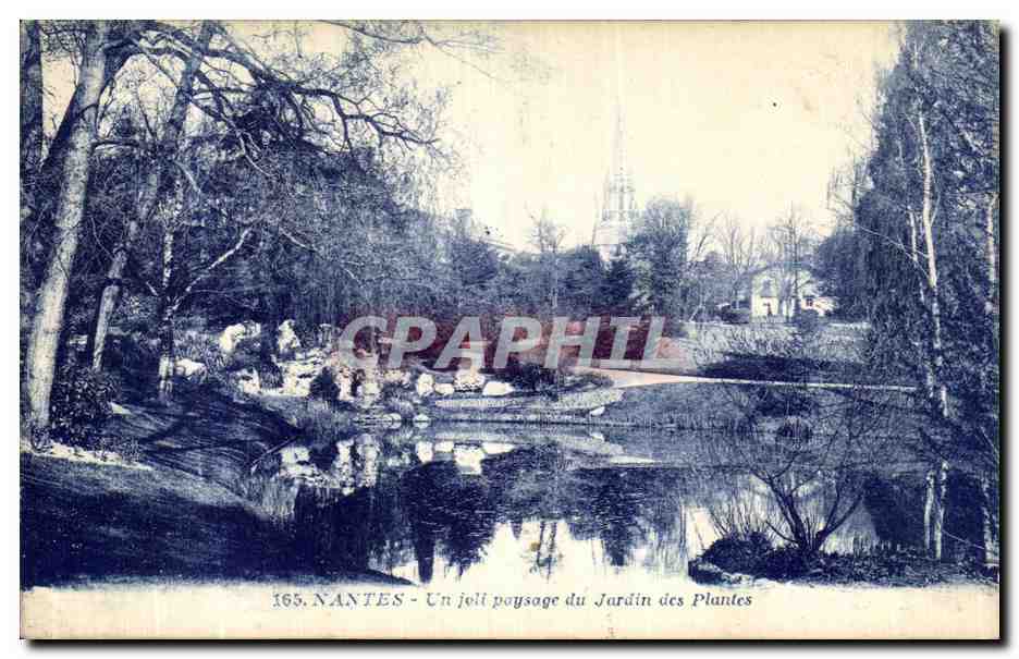 CPA Nantes Un joil paysage du Jardin des Plantes