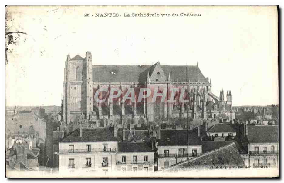 CPA Nantes La Cathedrale vue du Chateau