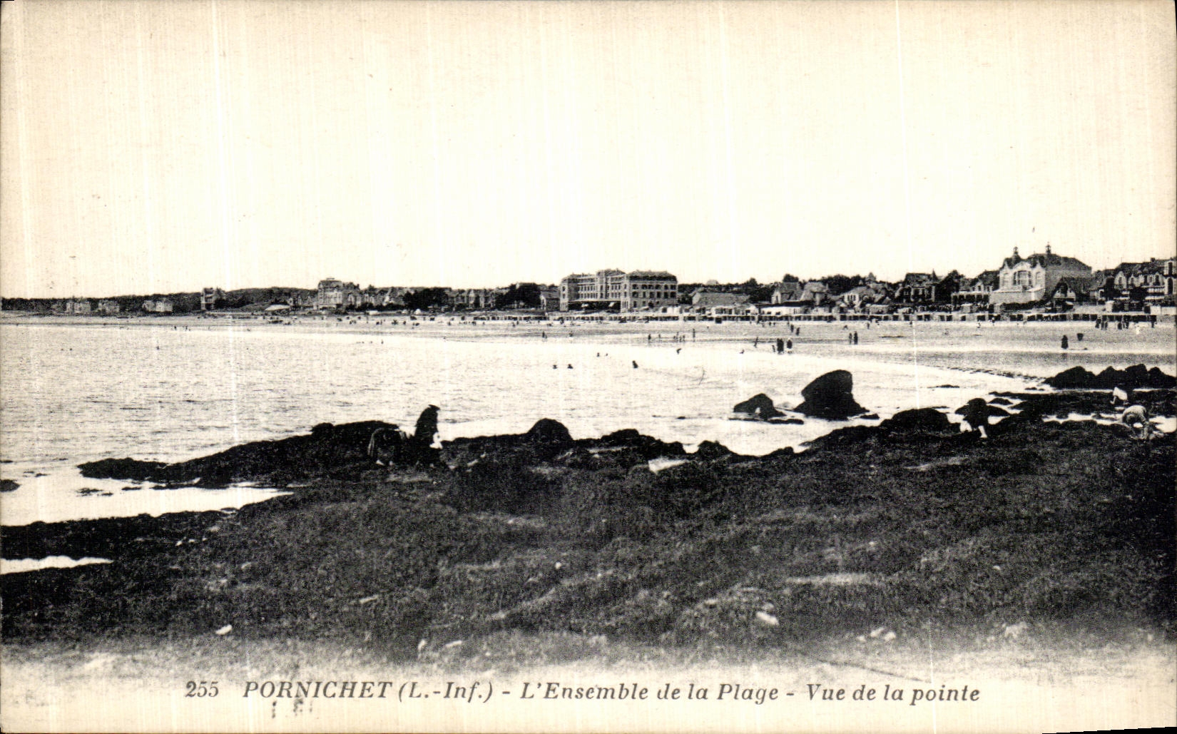 CPA Pornichet L Ensemble de La Plage Vue De La Pointe