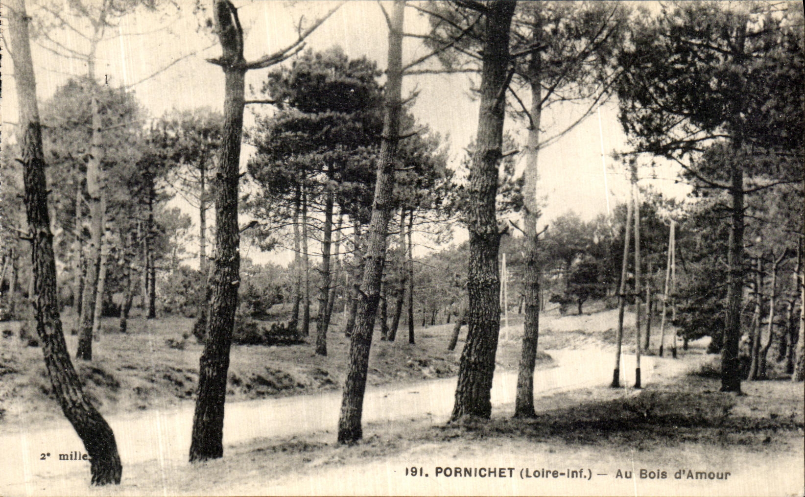 CPA Pornichet Au Bois d Amour 