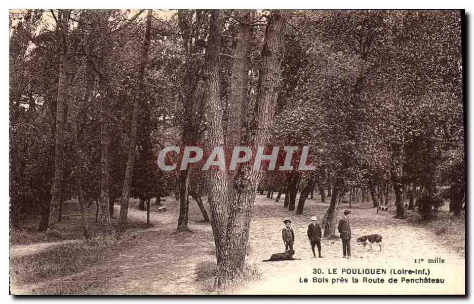 CPA Le Pouliguen Le Bois Pres la Route de Penchateau 