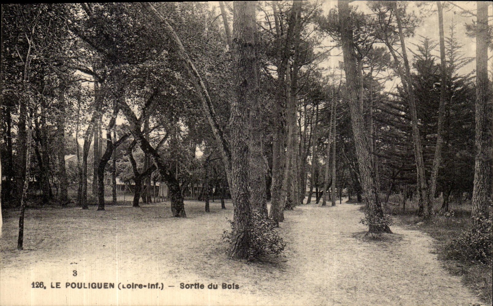CPA Le Pouliguen Sorte du Bois 