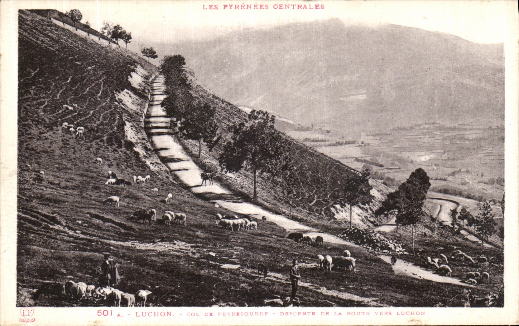 CPA Luchon Col de Peyresourde Descente de la route vers Luchon Moutons Berger