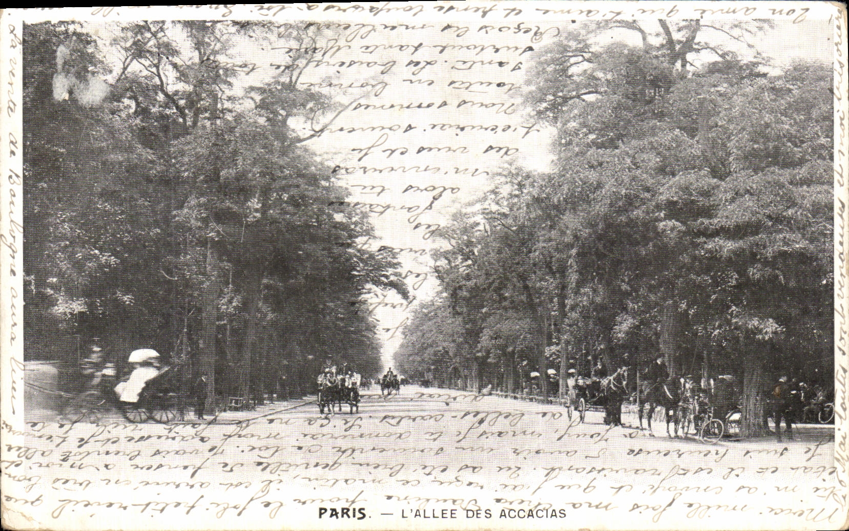 CPA Paris L Allee Des Accacias