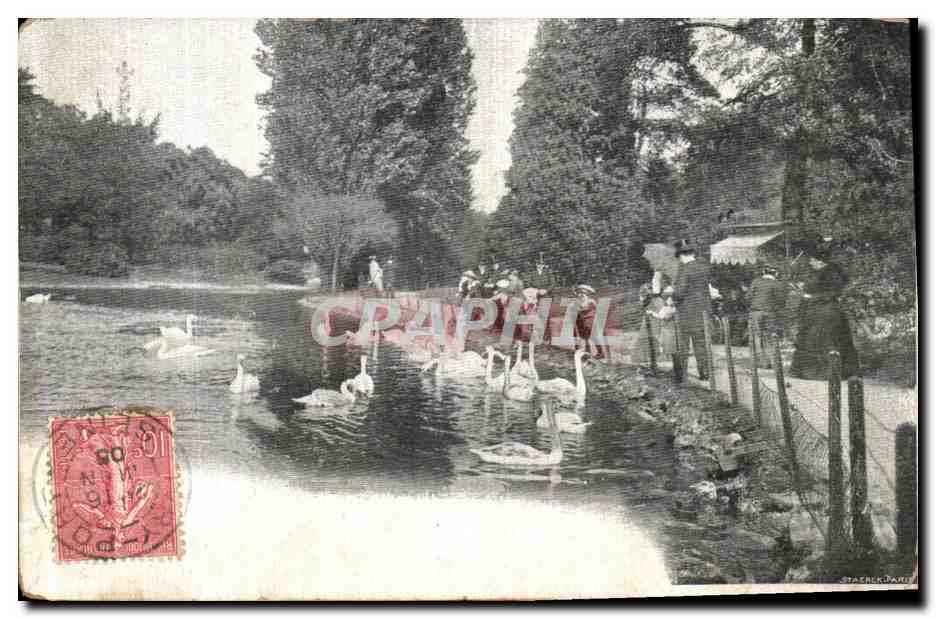 CPA Paris Bois de Boulogne Cygnes 