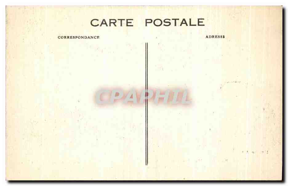 CPA Paris Vue d ensemble de Notre Dame prise au pied de l Acacia Plusieurs fois centanaire — Rückseite