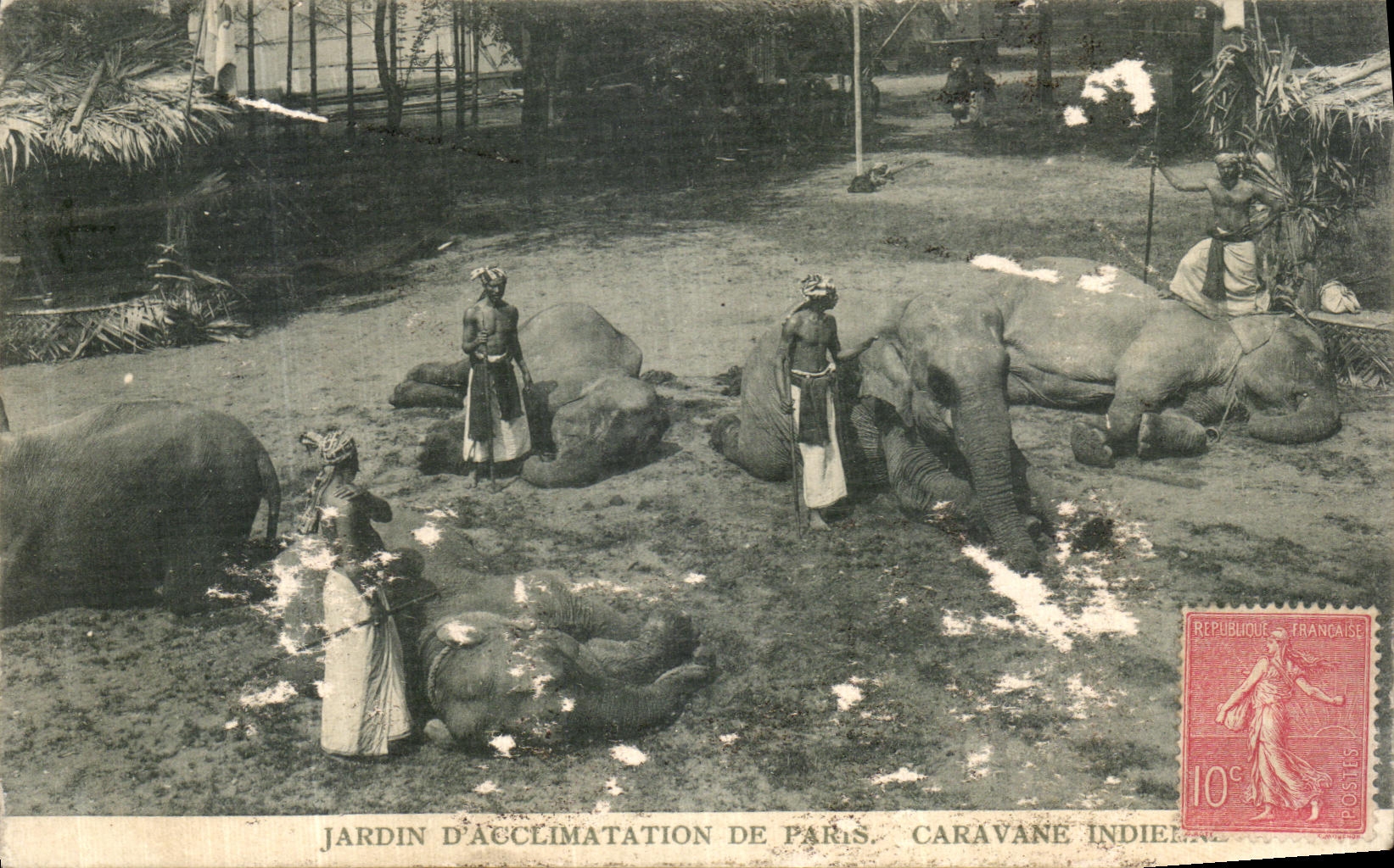 CPA Paris Jardin D Acclimatation de Paris Caravane indienne Elephants