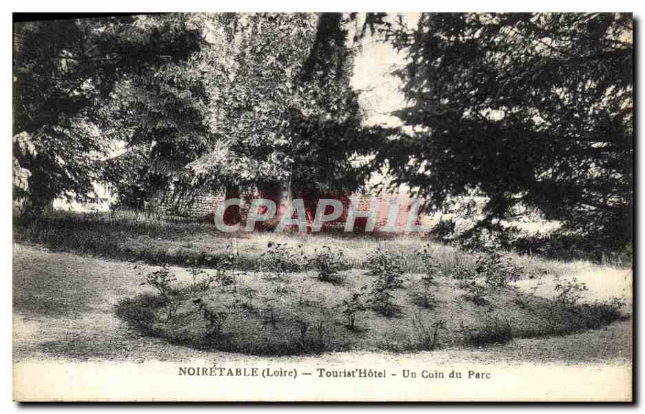 CPA Noiretable Tourist Hotel Un Coin du Parc 