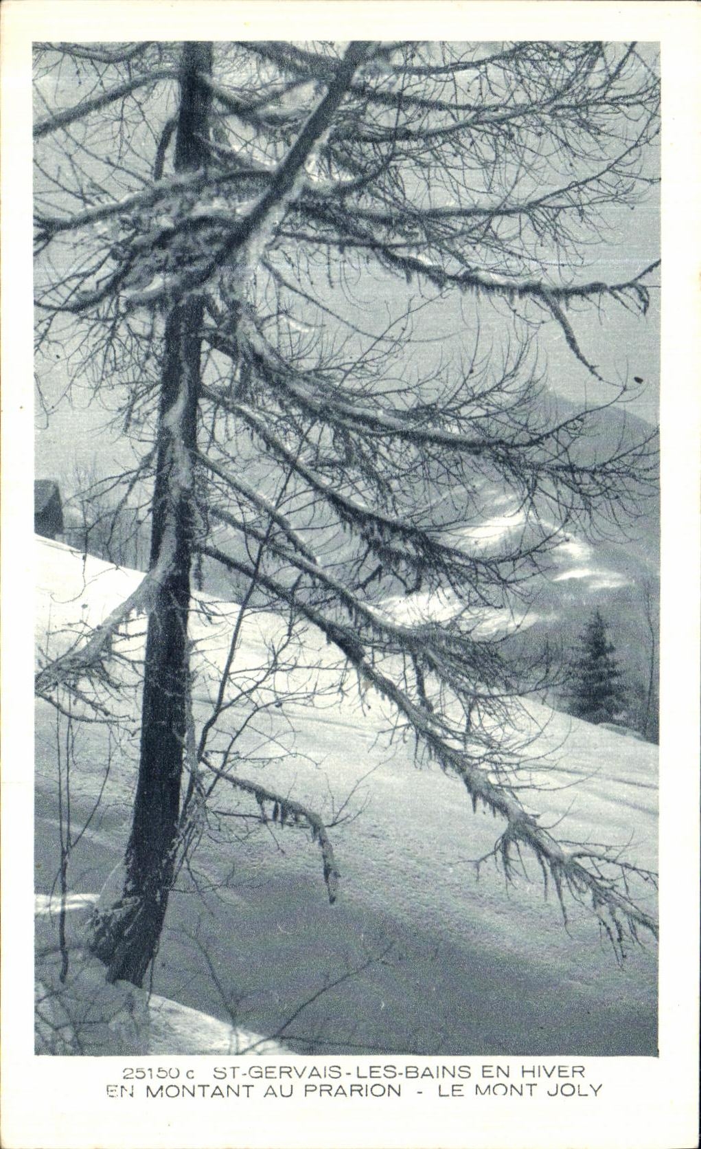 St-Gervais-les-Bains en hiver — Le Mont Joly — éditeur Braun & Cie, Mulhouse-Dornach, n° 25150