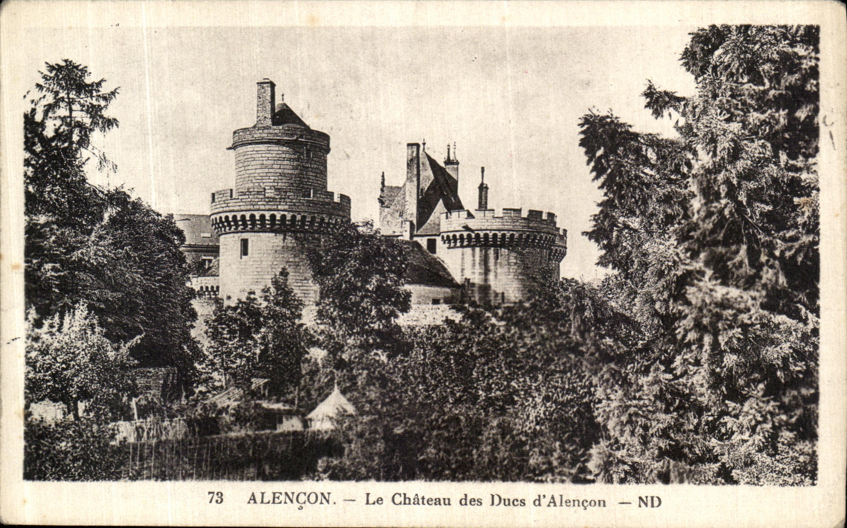 CPA Alencon Le Chateau des Ducs d Alencon