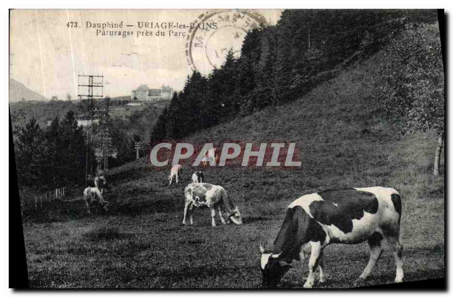 Dauphiné — URIAGE-les-BAINS — Pâturages près du Parc