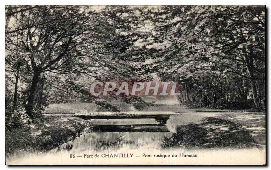 CPA Parc de Chantilly Pont rustique du Hameau