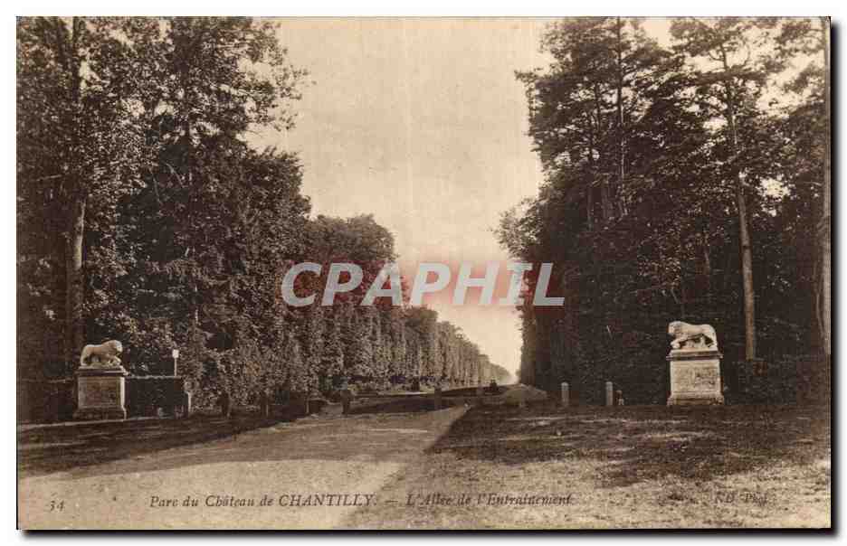 CPA Parc du Chateau De Chantilly L allee de l entrainement
