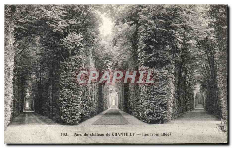 Parc du château de CHANTILLY — Les trois allées — Héliotypie Bourdier et Faucheux, Versailles