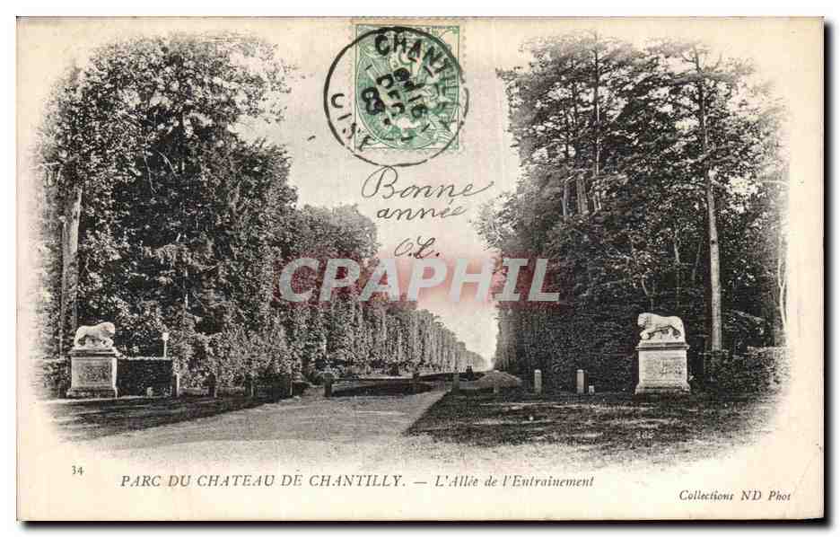 Parc du Château de Chantilly — L'Allée de l'Entraînement — Collections ND Phot