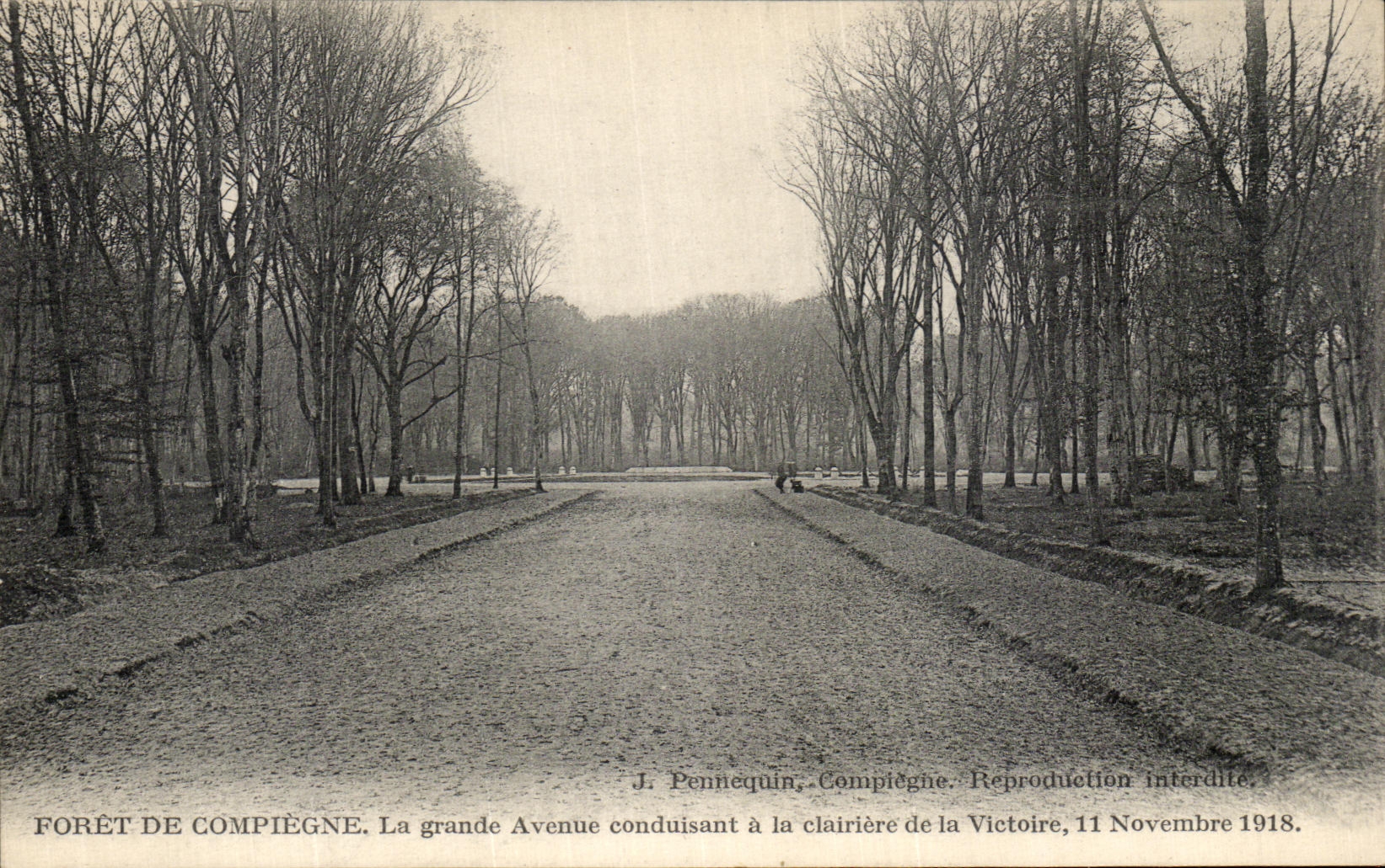 Forêt de Compiègne — La grande Avenue conduisant à la clairière de la Victoire — J. Pennecquin, Compiègne, n° de série non visible