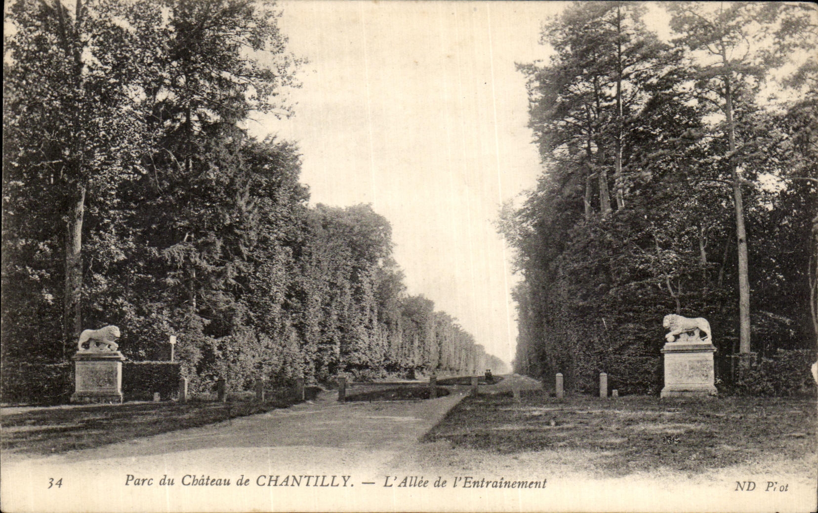 Parc du Château de CHANTILLY — L'Allée de l'Entraînement — ND Pi ot
