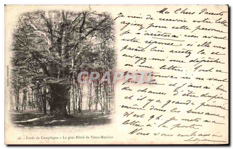 CPA Foret De Compiegne Le Gros Hetre de Vieux Moulins