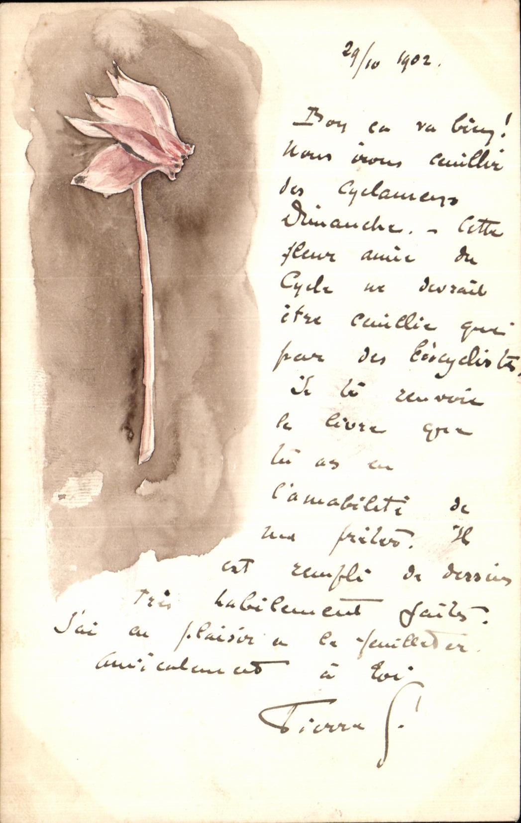 Flor de ciclamino — dibujo a acuarela — editor no visible
