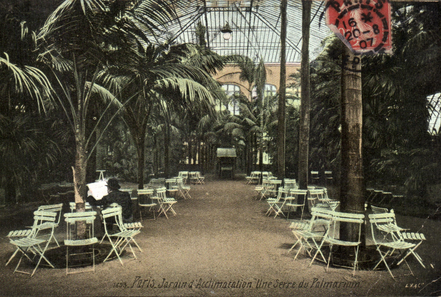 CPA Paris Jardin D Acclimation Une Serre Du Palmarium 