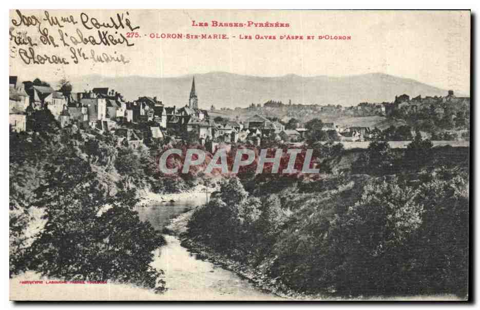 Les Gaves d'Aspe et d'Oloron — Oloron-Sainte-Marie — Les Basses-Pyrénées