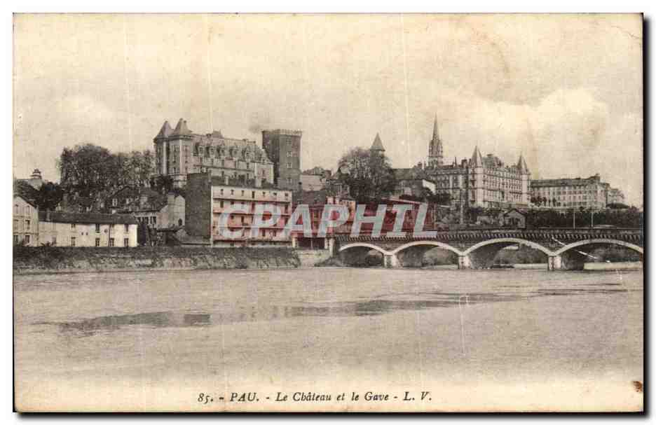 CPA Pau Le Chateau Et Le Gave
