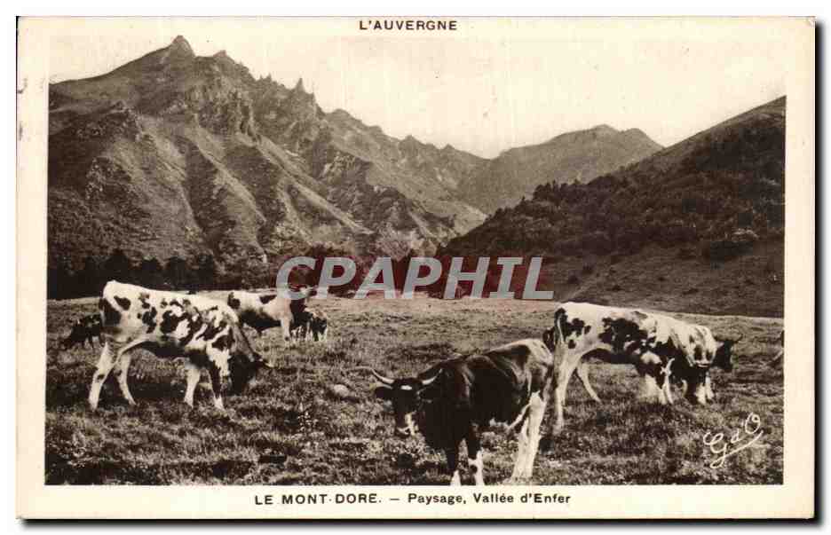 CPA Le Mont Dore Paysage Vallee d Enfer Vaches