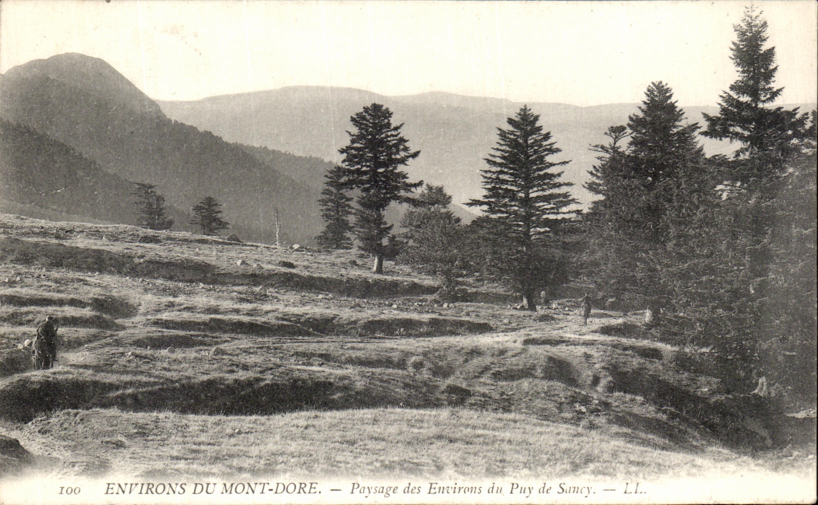CPA Environs du Mont Dore Paysage des environs du Puy de Sancy 
