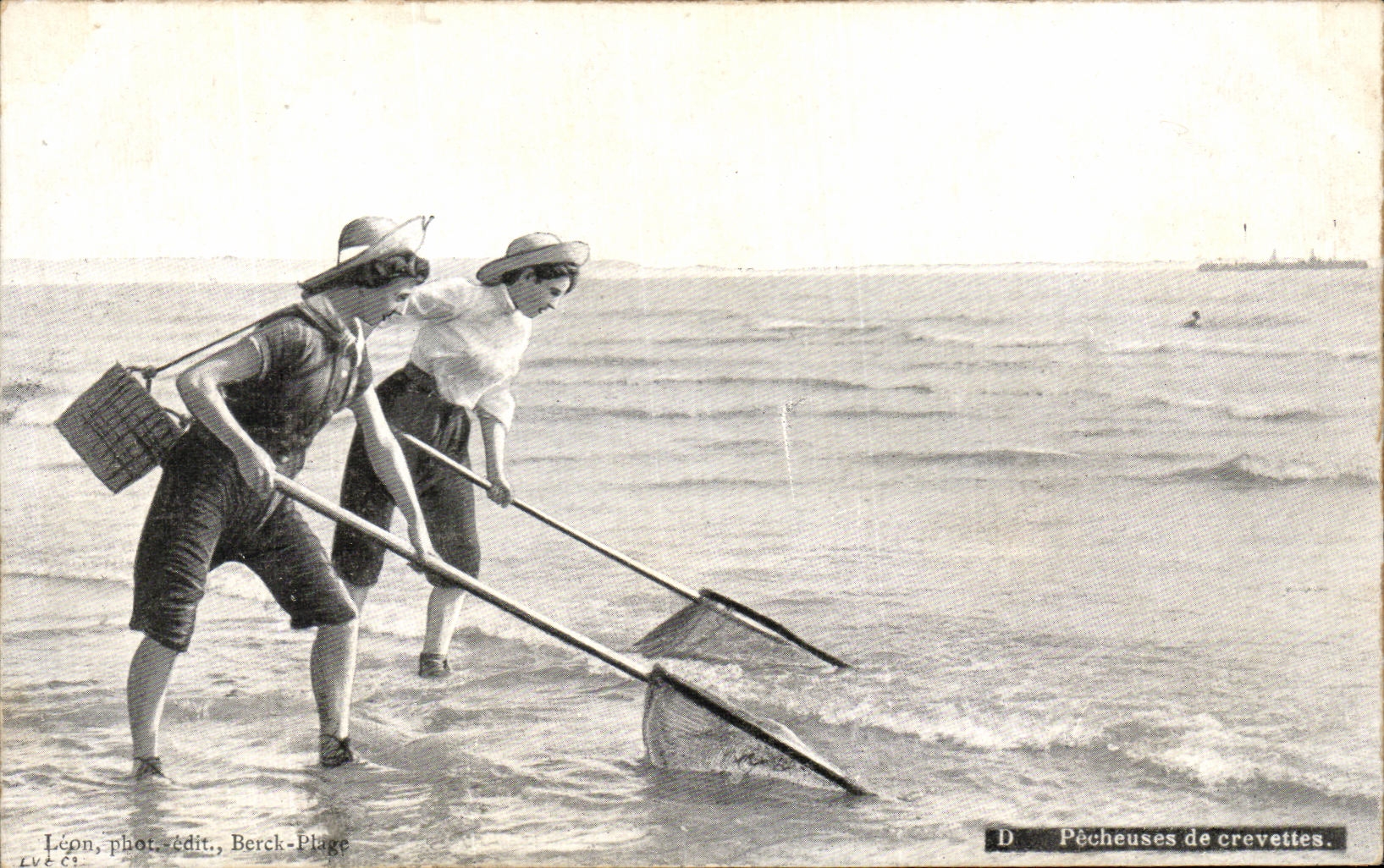 CPA Pecheuses de crevettes