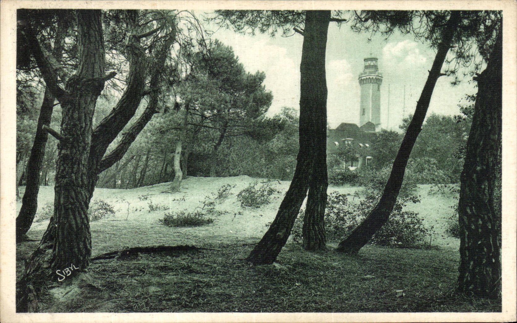 Le Phare à travers la forêt — Le Touquet-Paris-Plage — Éditions Tuck