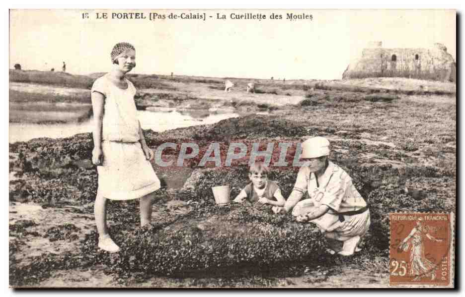 CPA Le Portel La Cueillette Des Moules 