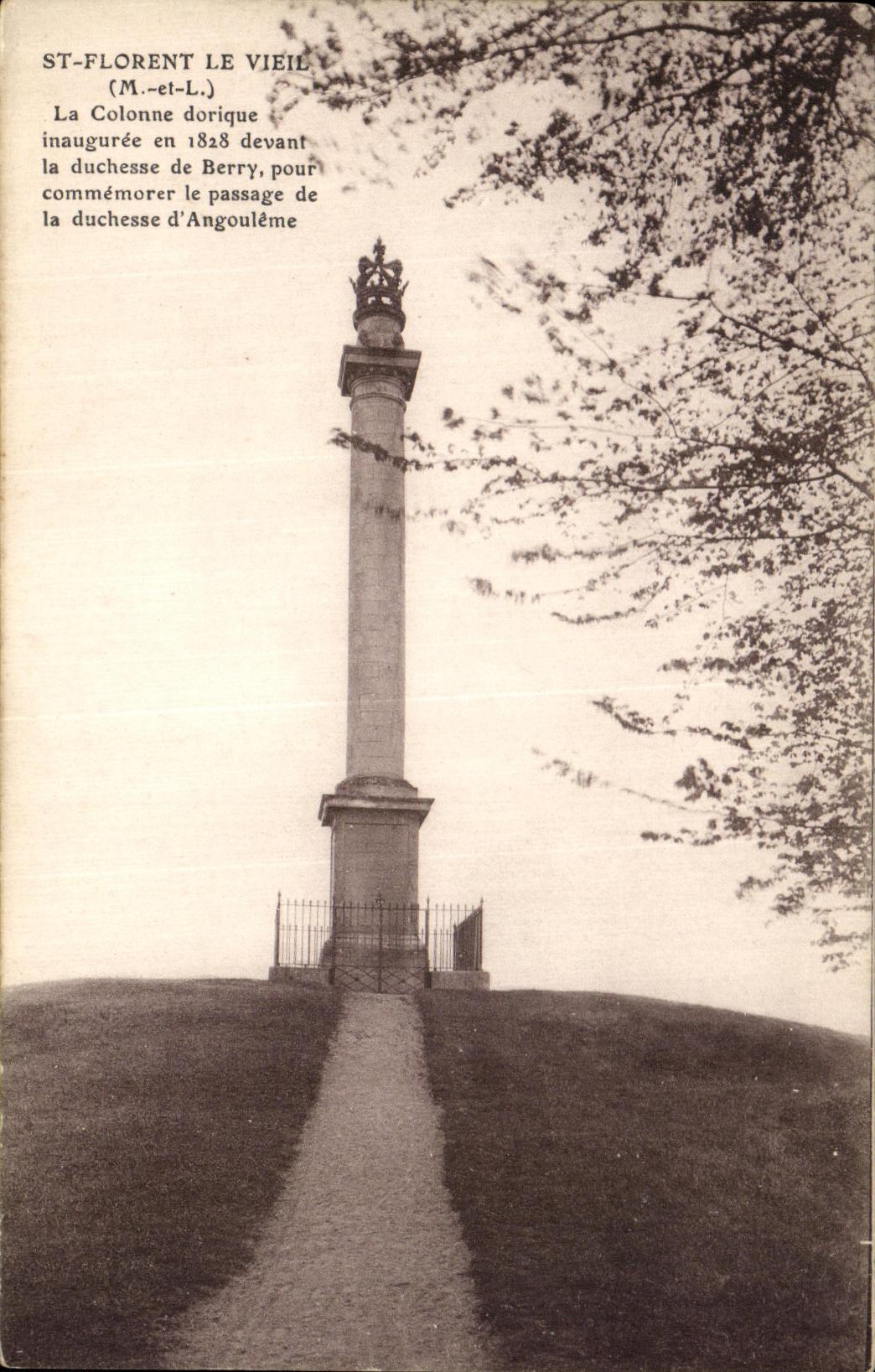 CPA Saint Florent Le Vieil La colonne dorique